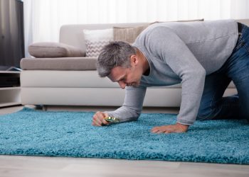 rug cleaning company